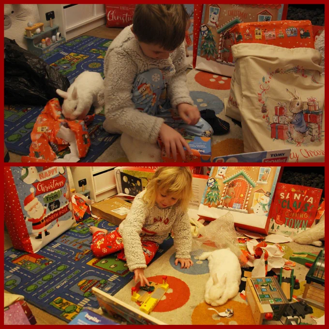 Two photos of two young boys in Bluey Christmas pyjamas, sat on a white rug with coloured buttons, surrounded by Christmas presents still wrapped and Peter Rabbit Santa sacks. They are opening presents on each photo, some are on the floor around them. On the top photo Neil, a white Netherland dwarf rabbit is eating wrapping paper to the left of the older boy. On the bottom photo, he is to the right of the younger boy, he is laid on the floor, head to the rug, back legs out to the side, whilst the boy plays with a car and wooden level crossing.
