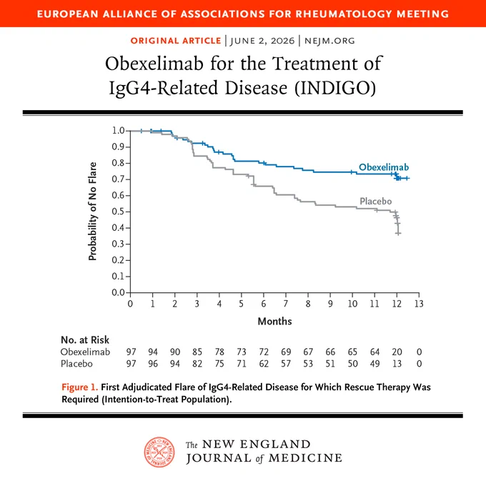 A line graph from an article titled "Obexelimab for the Treatment of IgG4-Related Disease," which shows estimates over time of the probability of a first flare of IgG4-related disease for which rescue therapy was required. Below the graph is a footnote detail and the logo for the New England Journal of Medicine. 