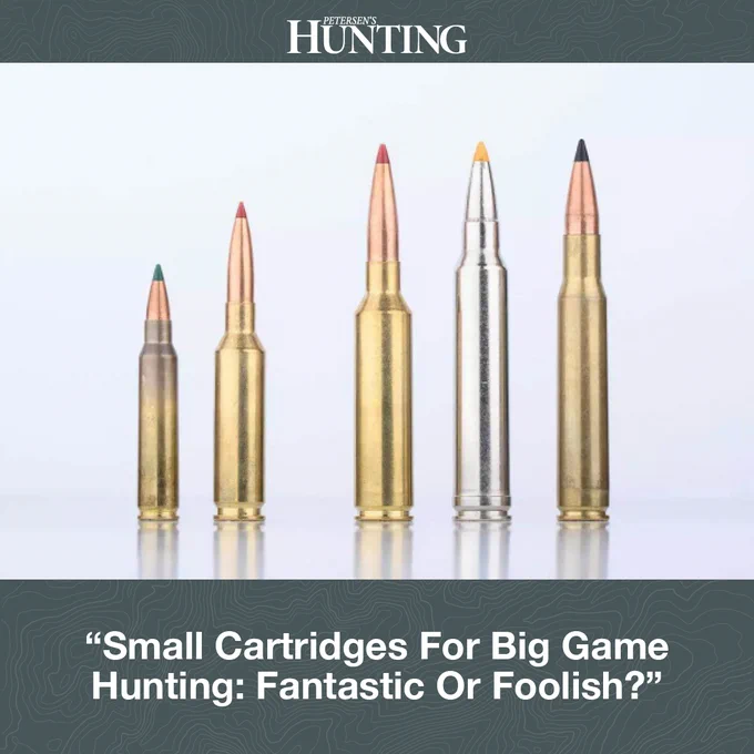 5 small caliber cartdiges side by side and displayed