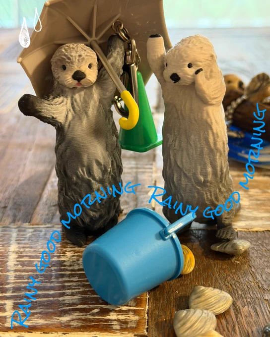 水は得意なはず、、、のちびメイキラ🦦🦦