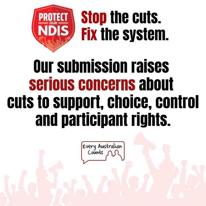 Graphic from Every Australian Counts' Protect Our NDIS campaign. At the top is a red shield logo reading "Protect Our NDIS" beside the text "Stop the cuts. Fix the system." Large text reads: "Our submission raises serious concerns about cuts to support, choice, control and participant rights." The words "serious concerns" are highlighted in red. The Every Australian Counts logo appears near the bottom above a pale red crowd silhouette.