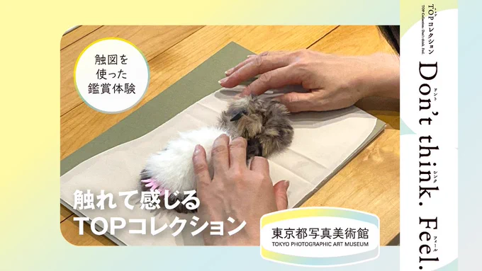 写真を使ったバナー画像。来館者がテーブル上の触図に手を触れて作品を鑑賞している様子。触図はふわふわとした鳥のぬいぐるみのような見た目をしている。