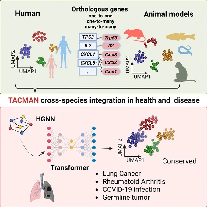 graphical abstract