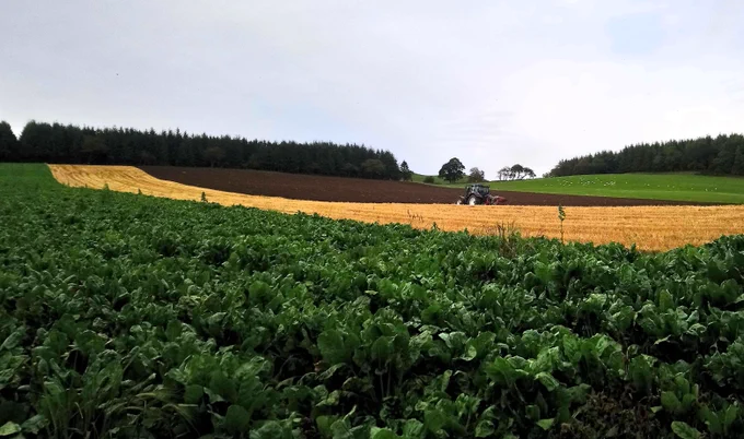 A tractor ploughing a field with trees in the background. Credit Jayne Adamson