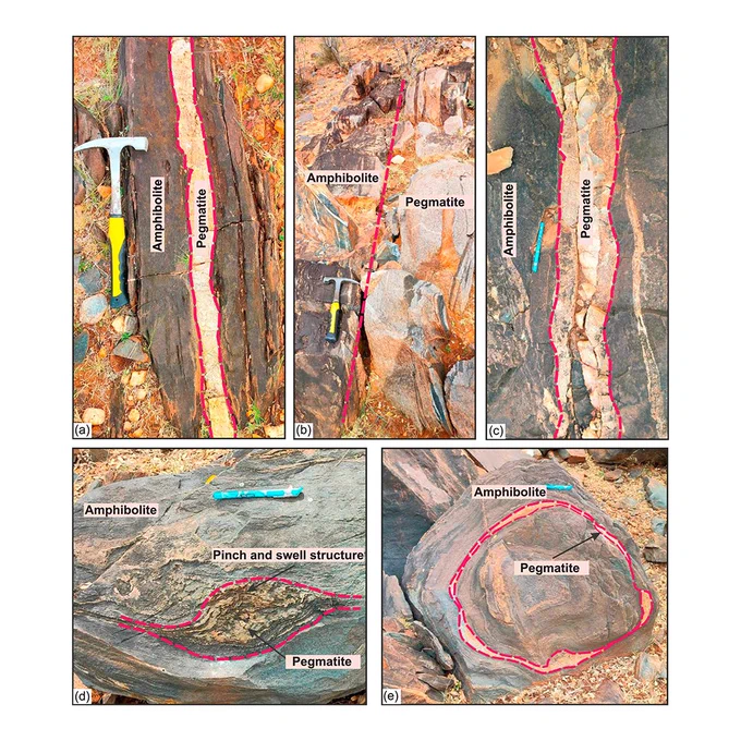 Field photographs of (a) Lithium bearing pegmatites hosted in amphibolites. (b) Coarse grained pegmatites displaying typical dyke features. (c) Pegmatites showing sharp contact to the host rock Amphibolite. (d) Pinch and swell shaped pegmatitic intrusion in amphibolite. (e) Swirling of pegmatitic magma in the host rock.