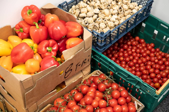 A colourful assortment of fresh bell peppers, mushrooms, and tomatoes in boxes and crates.