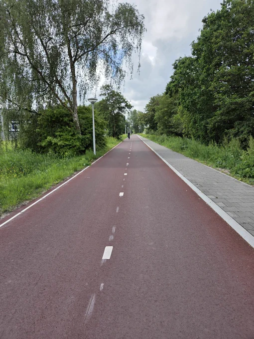 Rot asphaltierte Radinfrastruktur 1