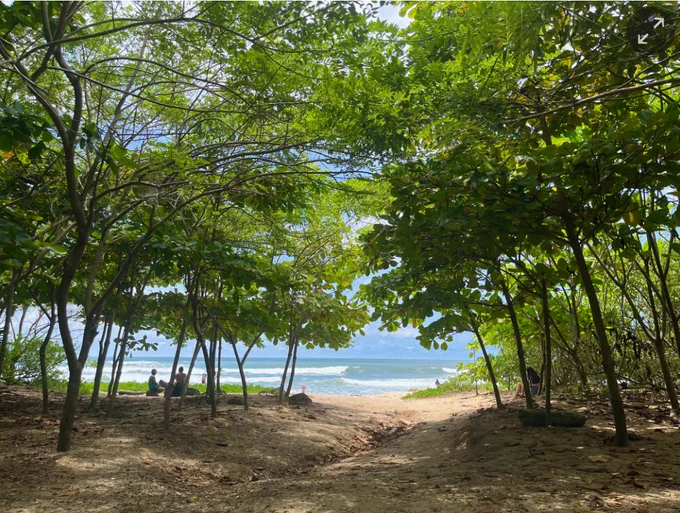 One of the paths to Playa Guiones, which has been transformed by reforestation efforts. Photograph: Handout