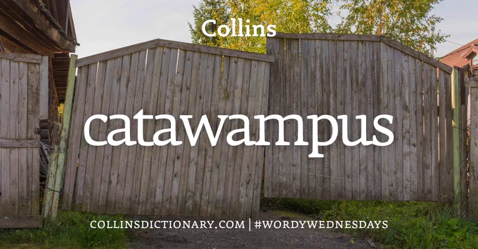 A Collins Dictionary “Word of the Day” graphic dated 3rd June 2026. The background shows a shed that is slightly skewed. Centered in white text is the heading “Collins Word of the Day,” followed by the word “catawampus” in large lowercase letters. Above the word is the label “adjective” with its phonetic spelling. Beneath it, the definition reads: “askew; awry.” At the bottom of the image is the text “collinsdictionary.com | #WordyWednesdays.”