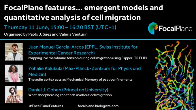 FocalPlane features... emergent models and quantitative analysis of cell migration

Thursday 11 June, 15:00-16:30 BST (UTC 1)

Organised by Pablo J. Sáez and Valeria Venturini

FocalPlane logo

Picture of Juan Manuel García-Arcos  (EPFL, Swiss Institute for Experimental Cancer Research)
‘Mapping live membrane tension during cell migration using Flipper-TR FLIM’

Picture of Yohalie Kalukula (Max-Planck-Zentrum für Physik und Medizin)
‘The actin cortex acts as Mechanical Memory of past confinements’

Picture of Daniel J. Cohen (Princeton University)
‘What sheepherding can teach us about cell migration’

#FocalPlaneFeatures focalplane@biologists.com

Image of time-coded tracks of migrating cells
