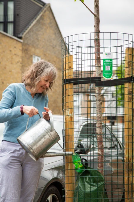 a person watering a young tree with a watering can