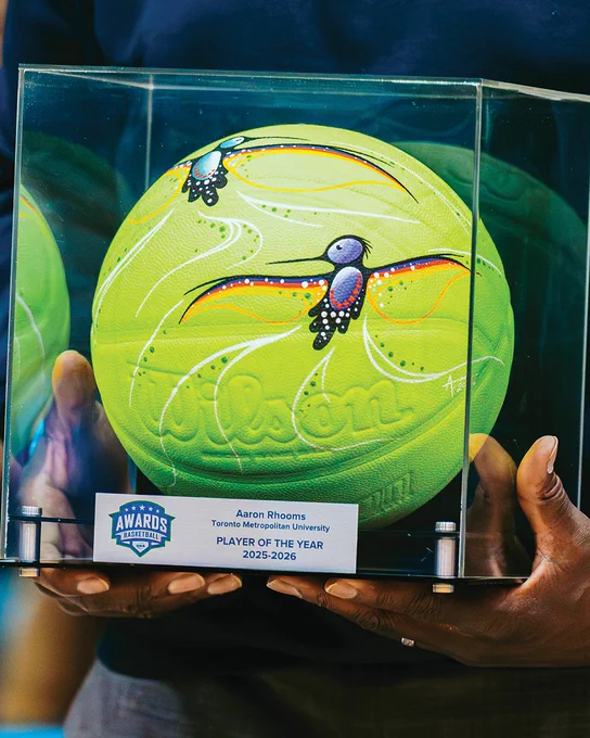 Photo of a close up of an Indigenous designed basketball in a case, with a small plate  of the award winner 