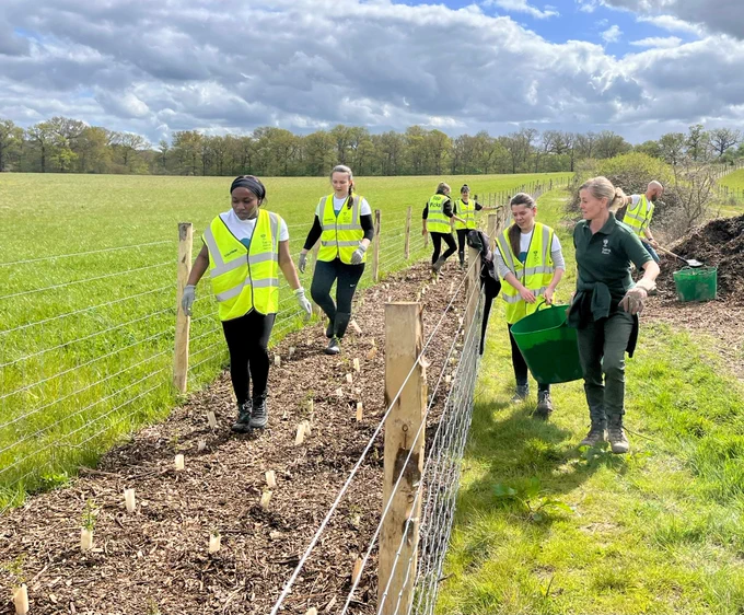 Volunteers working in Epping Forest