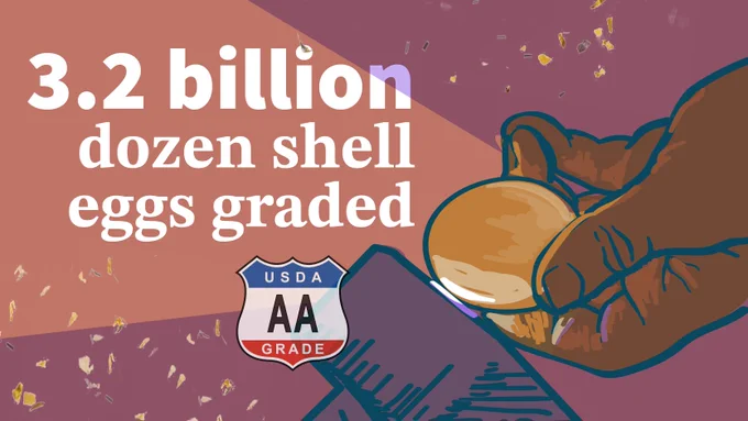 A hand holding an egg above a carton, with text reading "3.2 billion dozen shell eggs graded." The USDA AA Grade shield logo is displayed.