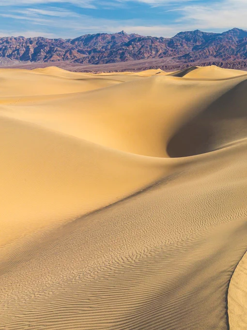 A sharply defined dune crest at Mesquite Flat Sand Dunes, showing contrasting light and shadow with fine wind‑carved textures.