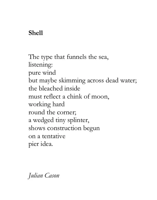 Shell


The type that funnels the sea,
listening:
pure wind  
but maybe skimming across dead water;
the bleached inside 
must reflect a chink of moon,
working hard 
round the corner;
a wedged tiny splinter,
shows construction begun
on a tentative 
pier idea.



Julian Cason