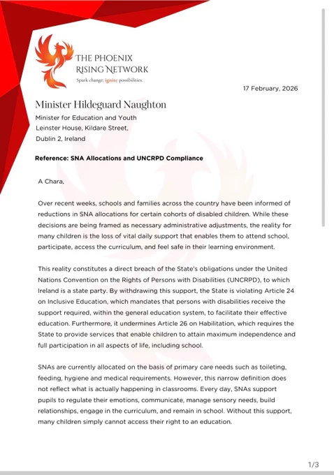 [ALT Text: Photos show the ANÉ logo and our submission regarding SNA Allocations & UNCRPD Compliance to government earlier this year. Contact us for a pdf copy.]