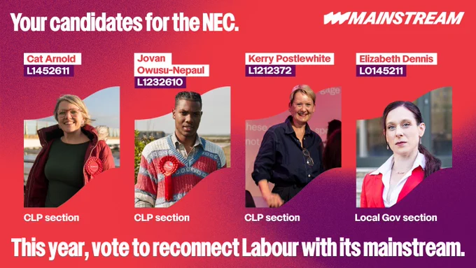 "Graphic showing this year's slate of Mainstream candidates for the NEC, alongside their voting codes. With caption: "This year, vote to reconnect Labour with its mainstream."

Candidates include: Cat Arnold, L1452611 / Kerry Postlewhite, L1212372 / Jovan Owusu-Nepaul, L1232610 and Councillor Elizabeth Dennis, L0145211 (for local government). "