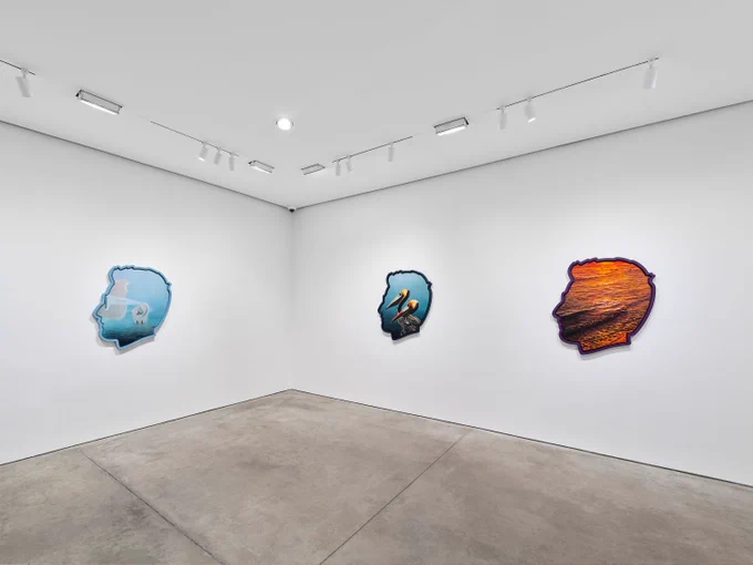 Installation view, Alex Israel: Where is My Mind?, Pace Prints, 2026.