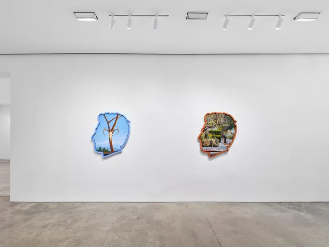 Installation view, Alex Israel: Where is My Mind?, Pace Prints, 2026.