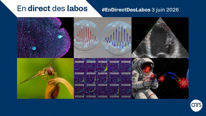 En direct des labos