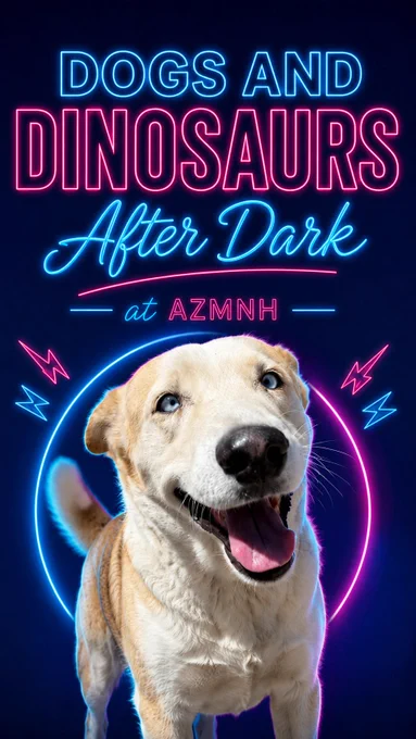 Happy dog with neon lights promoting Dogs and Dinosaurs After Dark event at AZMNH.
