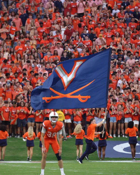 A lively Scott Stadium scene with a cheerleader holding a large flag featuring the University of Virginia logo. The crowd in the background, all in orange attire, fills the stands.