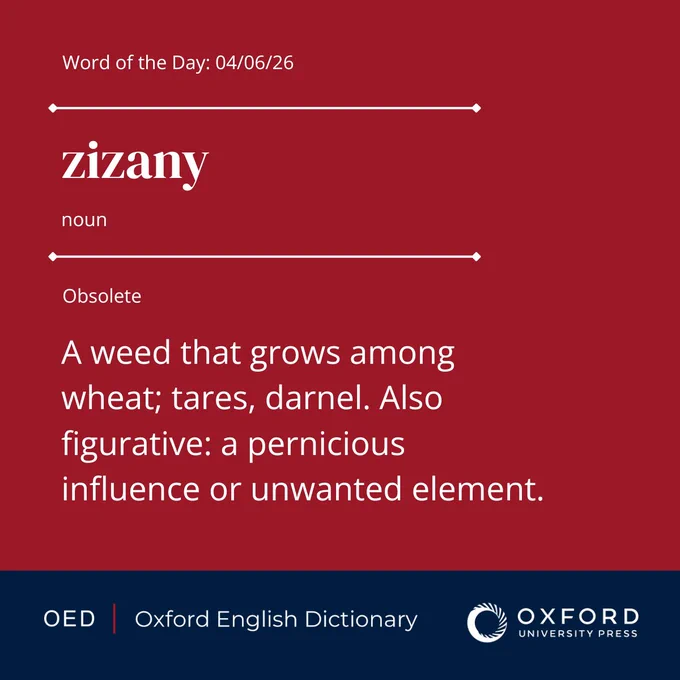 The OED definition of \u2018zizany\u2019, today\u2019s word of the day.\u00A0\n