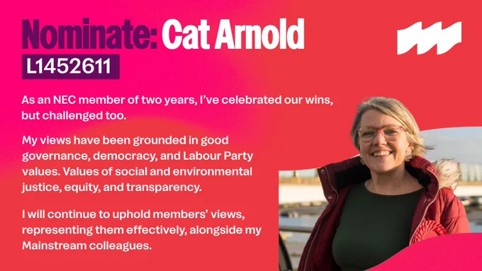 Graphic encouraging Labour members to nominate Mainstream's Cat Arnold for NEC candidate at their next CLP meeting.
With caption: ""This year, vote to reconnect Labour with its mainstream.""

Cat Arnold, L1452611
