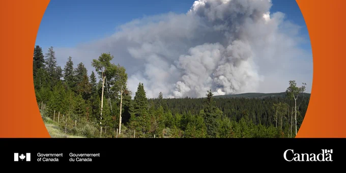 Image of a forest fire.