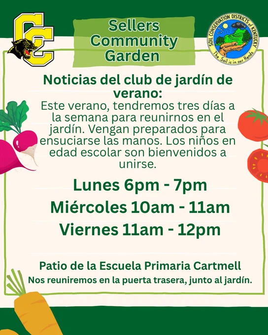 Summer garden update Spanish version
