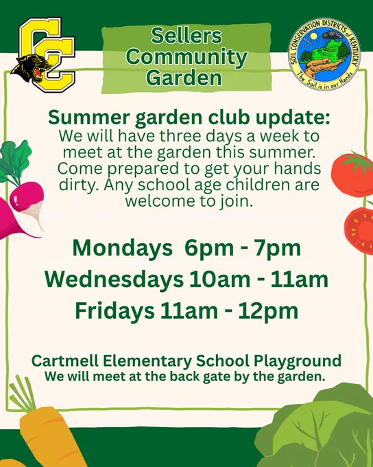 Summer garden update English version