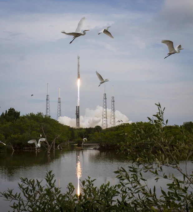 Image shows a rocket launching during a daylight sky at Cape Canaveral Space Force Base in Florida on Nov. 18, 2013 with the launch reflecting in a nearby body of water. Also in the photograph are birds flying and trees. Photo credit: NASA/Bill Ingalls