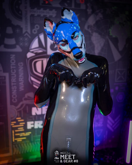 A latex blue, black and grey dog standing, looking at you with the puppy eyes and raising his paws at you