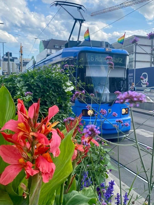 Tram mit Regenbogen-Wimpel