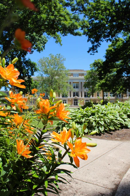 University hall surrounded by orange flowers and greenery 
