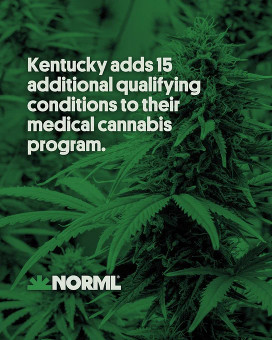 Headline reads, "Kentucky adds 15 additional qualifying conditions to their medical cannabis program." Image shows a flowering cannabis plant.