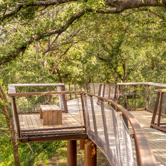 A wooden bridged walkway with a bench, overlooking trees and brush.