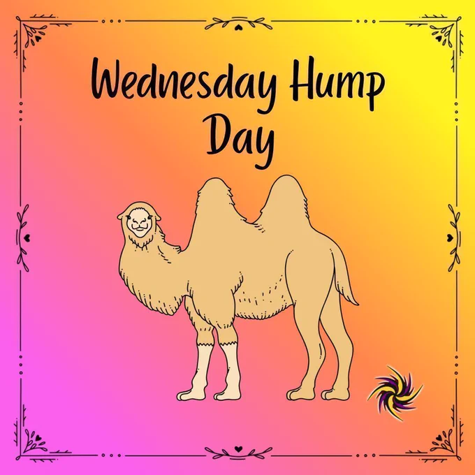 Wednesday Hump Day
Two humped camel judging you