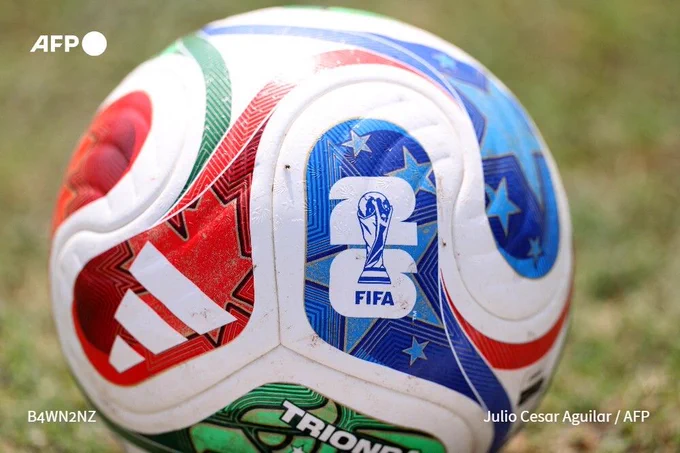 The FIFA official ball 