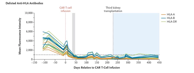 The graph illustrates delisted anti-HLA antibodies levels over 450 days relative to CAR T-cell infusion. The x-axis represents days, while the y-axis shows mean fluorescence intensity. Three antibody types are tracked: HLA-A, HLA-B, and HLA-DR. 