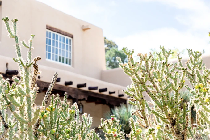 A traditional adobe-style building with a clear sky above, situated behind a foreground of blooming cacti.