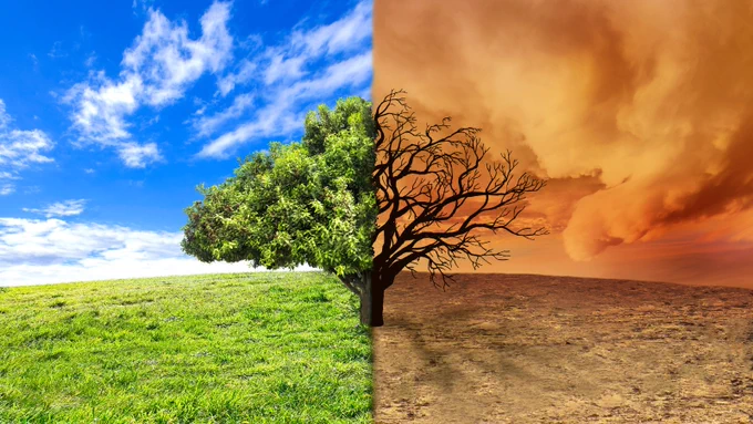 fotomontaje de un mismo paisaje, en dos lados. A la izquierda, un árbol y cesped florecientes, con un cielo de un azul intenso. A la derecha, el árbol seco, en un paraje desértico y con el cielo cubierto de arena.