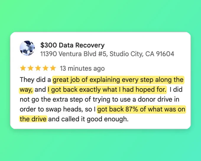 5-star $300 Data Recovery review from Michael, who got back 87% of his drive and praised clear step-by-step communication.