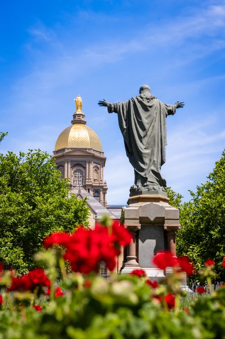 The Sacred Heart of Jesus statue stands in the foreground of a campus garden filled with red geraniums. Behind the statue, the golden dome of the University of Notre Dame’s Main Building rises above green trees against a bright blue sky with wispy clouds. The image is framed to show the statue facing the dome, with the flowers softly blurred in the foreground.