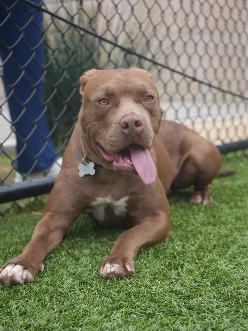 Helen Woodward Animal Center is at Helen Woodward Animal Center.