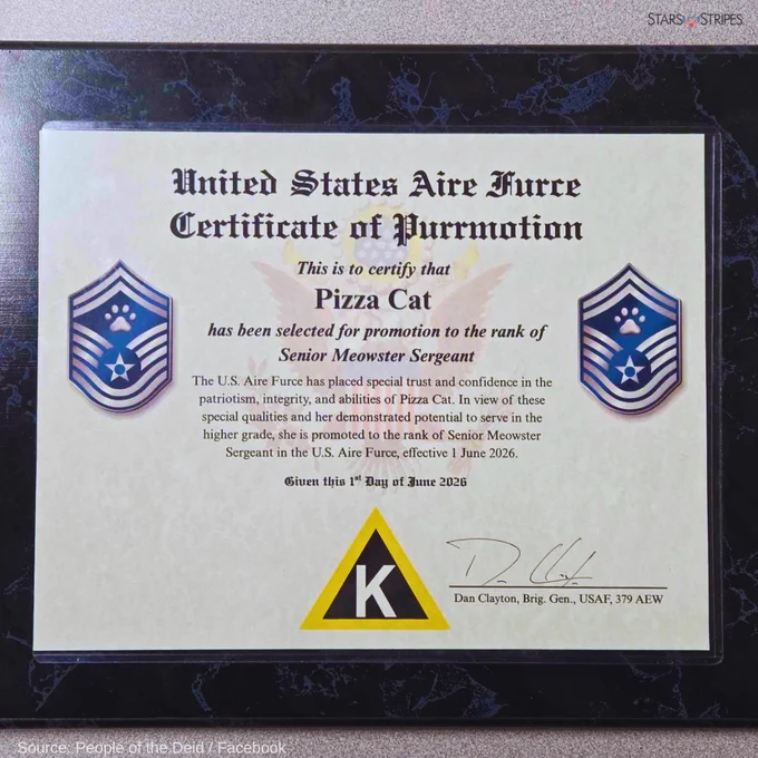 A framed certificate that reads: United States Aire Furce Certificate of Purrmotion. This is to certify that Pizza Cat has been selected for promotion to the rank of Senior Meowster Sergeant. The U.S. Aire Furce has placed special trust and confidence in the patriotism, integrity, and abilities of Pizza Cat. In view of these special qualities and her demonstrated potential to serve in the higher grade, she is promoted to the rank of Senior Meowster Sergeant in the U.S. Aire Furce, effective 1 June 2026. Given this 1st Day of June 2026." Signed Dan Clayton, Brig. Gen., USAF, 379 AEW (Source: People of the Deid / Facebook) Black Stars and Stripes logo