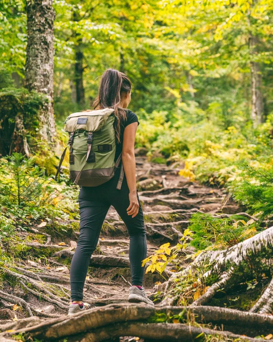 A person with a backpack hikes up a scenic, forested trail surrounded by lush greenery and tall trees. The path is uneven with visible tree roots.