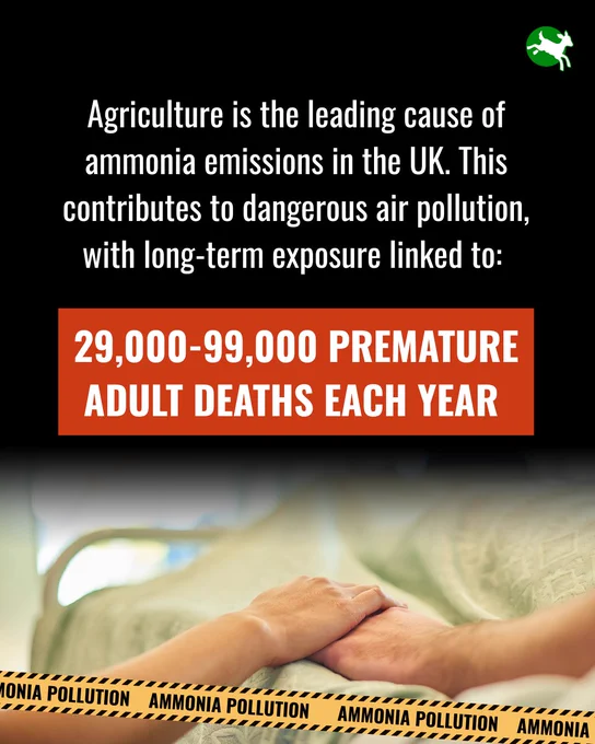 Agriculture is the leading cause of ammonia emissions in the UK. This contributes to dangerous air pollution, with long-term exposure linked to:
29,000-99,000 premature adult deaths each year. 