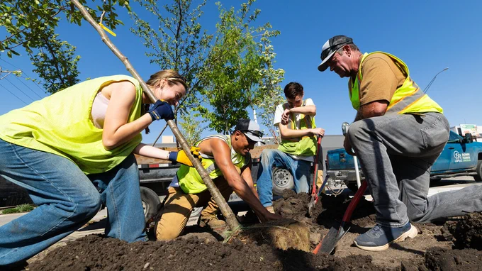 A woman and three men in yellow reflective vests plant a tree. (Liz McCue/University Communication and Marketing)